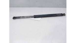 AMORTIGUADORES MALETERO / PORTON BMW X5 (2001-2003) 3.0 D 184CV 2925CC - L.8175491 / 51248402405