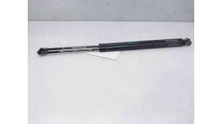 AMORTIGUADORES MALETERO / PORTON BMW X5 (2001-2003) 3.0 D 184CV 2925CC - L.8175491 / 51248402405