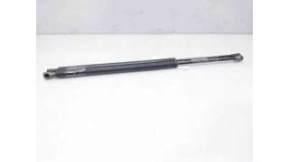 AMORTIGUADORES MALETERO / PORTON BMW X5 (2001-2003) 3.0 D 184CV 2925CC - L.8175491 / 51248402405