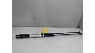 AMORTIGUADORES MALETERO / PORTON RENAULT SCÉNIC III (2009-) 1.9 DCI (JZ0J, JZ1J, JZ1K, JZ1S) 131CV 1870CC - L.8182142 / 904