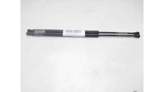 AMORTIGUADORES CAPO PEUGEOT 607 (2000-2004) 3.0 V6 24V 207CV 2946CC - L.8191255 / 9643926480