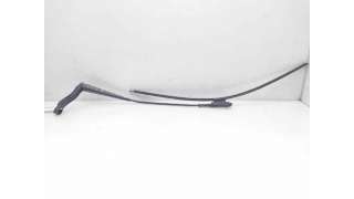 BRAZO LIMPIA DELANTERO IZQUIERDO MERCEDES-BENZ CLASE A (2004-2012) A 150 (169.031, 169.331) 95CV 1498CC - L.8195153 / A1698