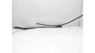 BRAZO LIMPIA DELANTERO IZQUIERDO MERCEDES-BENZ CLASE A (2004-2012) A 150 (169.031, 169.331) 95CV 1498CC - L.8195153 / A1698
