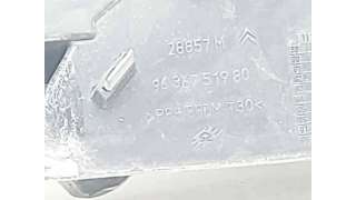REJILLA DELANTERA CITROEN C5 I (2001-2004) 2.0 HDI (DCRHZB, DCRHZE) 109CV 1997CC - L.8196736 / 9636751980