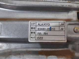ELEVALUNAS TRASERO DERECHO HYUNDAI TUCSON (2004-2010) 2.0 CRDI 113CV 1991CC - L.8199559 / 834802E010