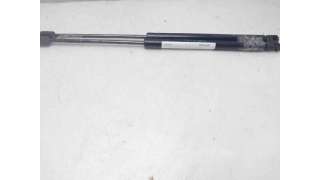 AMORTIGUADORES MALETERO / PORTON FIAT PUNTO (2003-2012) 1.3 JTD 16V 70CV 1248CC - L.8209847 / 0046524678