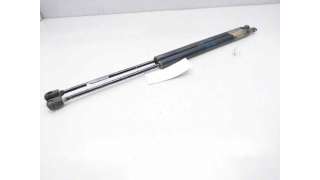 AMORTIGUADORES MALETERO / PORTON HYUNDAI SANTA FÉ I (2001-2006) 2.0 CRDI 4X4 113CV 1991CC - L.8219904 / 8177126011