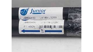 AMORTIGUADORES MALETERO / PORTON RENAULT SCÉNIC I LIMUSINA (1999-2003) 1.9 DCI (JA05, JA1F) 102CV 1870CC - L.8226414 / JB60