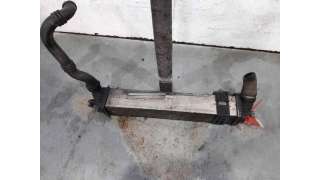 INTERCOOLER RENAULT LAGUNA COUPÉ (2008-2015) 2.0 DCI (DT01, DT08, DT09, DT0K, DT12, DT1C, DT1D, DT1M,... 150CV 1995CC - L.8
