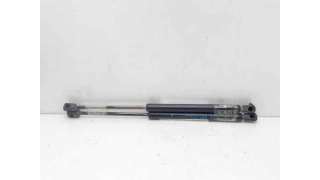 AMORTIGUADORES MALETERO / PORTON RENAULT CLIO II (1998-2010) 1.2 (BB0A, BB0F, BB10, BB1K, BB28, BB2D, BB2H, CB0A,... 58CV 1