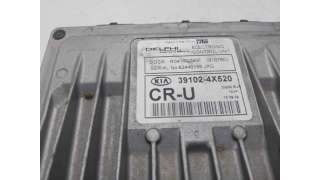 CENTRALITA MOTOR UCE KIA CARNIVAL II (2001-2006) 2.9 CRDI 144CV 2902CC - L.8245012 / 391024X520