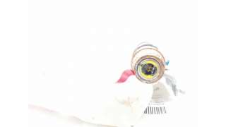 AIRBAG CORTINA DELANTERO DERECHO TOYOTA RAV 4 III (2005-2014) - L.8250096 / 6217042040