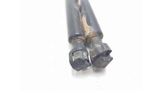 AMORTIGUADORES MALETERO / PORTON PEUGEOT 807 (2002-) 2.0 HDI 107CV 1997CC - L.8256082 / 1492653080