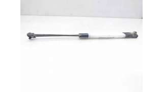 AMORTIGUADORES MALETERO / PORTON RENAULT SCÉNIC II (2003-2006) 1.6 (JM0C, JM0J, JM1B) 113CV 1598CC - L.8259859 / 98510650