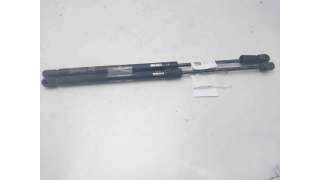 AMORTIGUADORES MALETERO / PORTON BMW 7 (2002-2005) 30 D 218CV 2993CC - L.8262197 / 817700X001