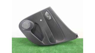 GUARNECIDO PUERTA TRASERA DERECHA RENAULT CLIO III (2010-2014) 1.5 DCI 75CV 1461CC - L.8273312 / 829A07631R