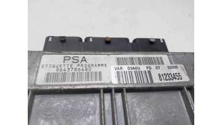 CENTRALITA MOTOR UCE PEUGEOT 406 (2000-2004) 1.8 BIFUEL 116CV 1749CC - L.8277998 / 9643786480
