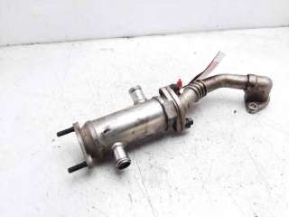ENFRIADOR VALVULA EGR KIA CARNIVAL II (2001-2006) 2.9 CRDI 144CV 2902CC - L.8284538 / 452000023