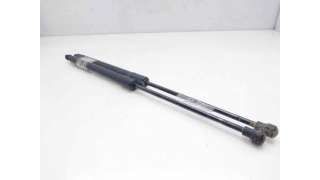 AMORTIGUADORES MALETERO / PORTON CITROEN C1 (2005-2014) 1.0 68CV 998CC - L.8298944 / 8731T9