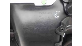 GUARNECIDO PUERTA TRASERA IZQUIERDA CITROEN C4 CACTUS (2018-) 1.5 BLUEHDI 100 102CV 1499CC - L.8301894 / 98112221ZD