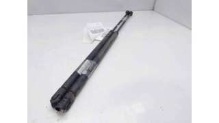 AMORTIGUADORES MALETERO / PORTON OPEL ASTRA F FASTBACK (1991-1998) 1.6 I (F08, M08, F68, M68) 75CV 1598CC - L.8307939 / 903
