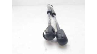 AMORTIGUADORES MALETERO / PORTON RENAULT MEGANE II SEDÁN (2003-) 1.9 DCI (LM0G, LM1G, LM2C) 120CV 1870CC - L.8324441 / 8200