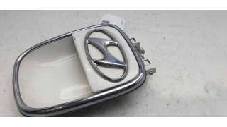MANETA EXTERIOR PORTON HYUNDAI I10 (2008-2013) 1.1 67CV 1086CC - L.8325077 / 1617200X020