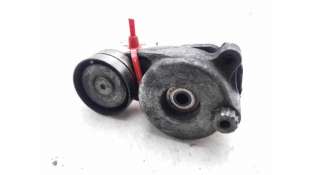 TENSOR CORREA AUXILIAR MERCEDES-BENZ CLASE E (2005-2008) E 280 CDI (211.020) 190CV 2987CC - L.8355001 / A6422000070