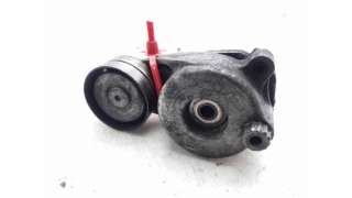 TENSOR CORREA AUXILIAR MERCEDES-BENZ CLASE E (2005-2008) E 280 CDI (211.020) 190CV 2987CC - L.8355001 / A6422000070
