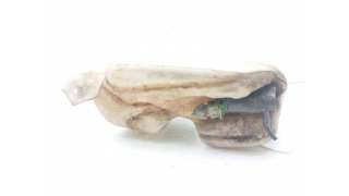 DEPOSITO LIMPIA CITROEN BERLINGO / BERLINGO FIRST LIMUSINA (1996-2003) 1.9 D (MFDJY) 68CV 1905CC - L.8356242 / 9642775480