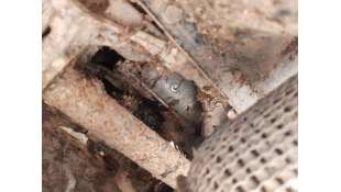 MOTOR ARRANQUE CITROEN...