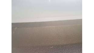 ELEVALUNAS DELANTERO...