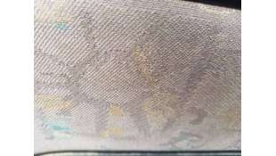 ELEVALUNAS DELANTERO...