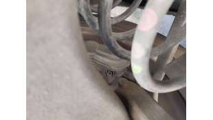 PINZA FRENO TRASERA...