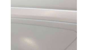 ELEVALUNAS TRASERO DERECHO...