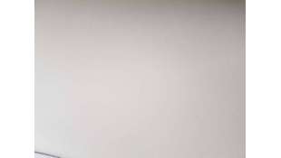 ELEVALUNAS DELANTERO...