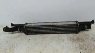 INTERCOOLER FIAT GRANDE PUNTO (299) VAN 2007- - 799929