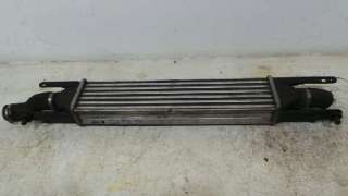 INTERCOOLER FIAT GRANDE PUNTO (299) VAN 2007- - 799929