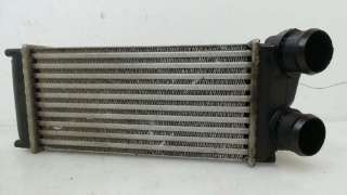 INTERCOOLER PEUGEOT 307 BERLINA (S2) 2005-2006 - 1035663 / 9648551880