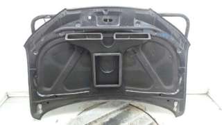 CAPO HYUNDAI SANTA FE (CM) 2006-2010 - 1164476 / 664002B030