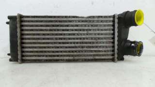 INTERCOOLER PEUGEOT 307 BERLINA (S2) 2005- - 1010161 / 9648551880