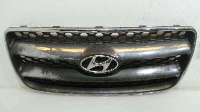 REJILLA DELANTERA HYUNDAI SANTA FE (CM) 2006-2007 - 1085956 / E865612B000