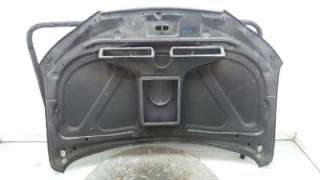 CAPO HYUNDAI SANTA FE (CM) 2006-2007 - 1117327 / 664002B030