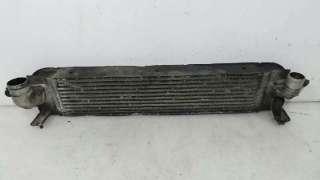 INTERCOOLER NISSAN X-TRAIL (T30) 2001-2003 - 959974 / P3578003