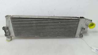 INTERCOOLER RENAULT MEGANE II BERLINA 5P 2005- - 1093133 / 8200115540