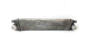 INTERCOOLER - 1655405 / 874806M