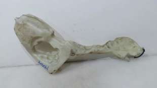 Recambio de deposito limpia para mini mini (r56) 2006-2014 one referencia OEM IAM 61667157124 61667157124  2