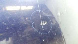 Recambio de capo para kia carens 2002-2006 2.0 crdi referencia OEM IAM 0K2JA52310 0K2JA52310  2