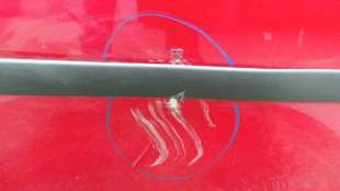 Recambio de puerta trasera derecha para ford focus berlina (cap) 2004-2007 ambiente (d) referencia OEM IAM 1430137 1430137  2