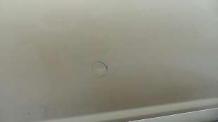 Recambio de puerta delantera derecha para citroën c4 coupe 2004-2011 vts referencia OEM IAM 9004W5 9004W5 9004W5 2